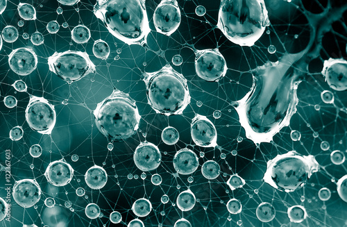 Water droplets in a spider web with subtle reflections
Connections are visible making it suitable for technology and science backgrounds