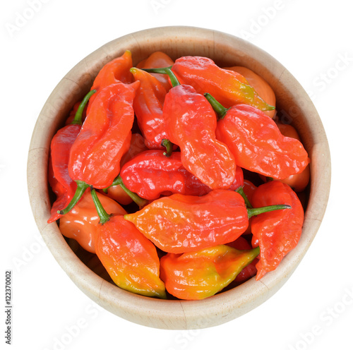 bhut jolokia pepper photo