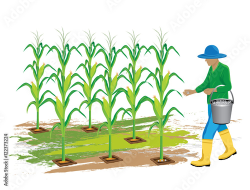 agriculturist manure corn plant vector design