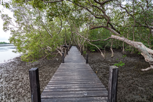 Fototapeta Naklejka Na Ścianę i Meble -  Wooden bridge at Tung Prong Thong,Golden Mangrove Field,Pra Sae,Rayong Province.Thailand