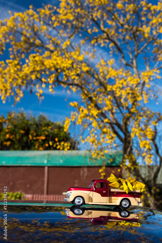 Kowhai Pickup Load Kowhai Pickup Load