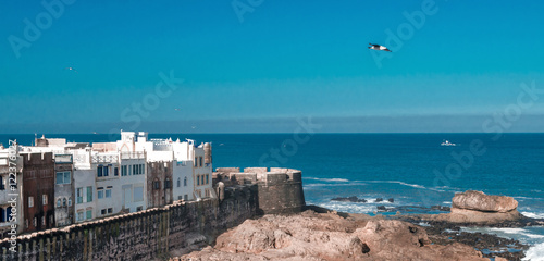 Moroccan west coast photo