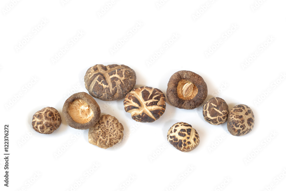 Dry shitake mushroom on white background - isolated Dry shitake mushroom on white background - isolated
