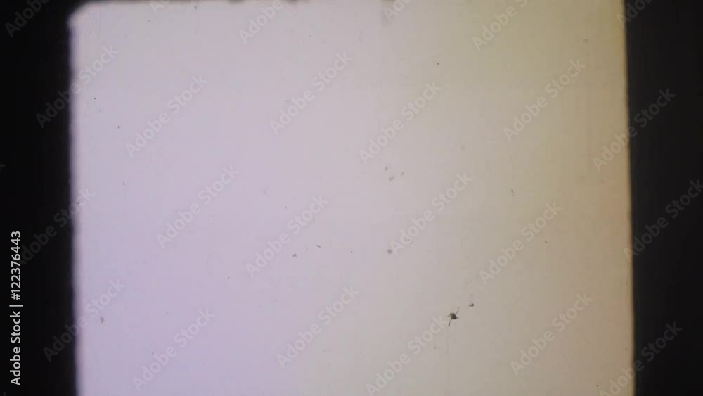 1974 the forest and the small water region LYNBROOK, NEW YORK Stock