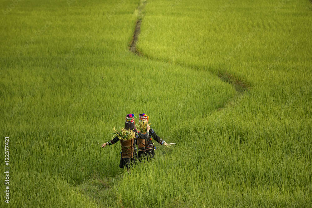 Obraz premium The journey.