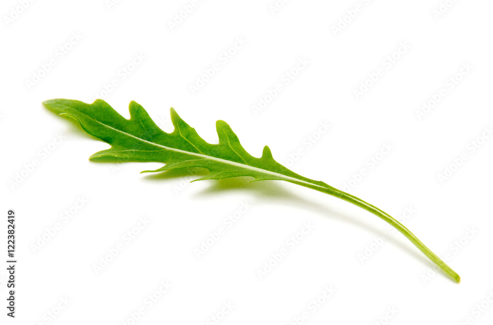 Fototapeta premium Green arugula leaf isolated on white