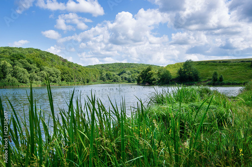 Beautiful summer landscape on the lake, the green grass and blue