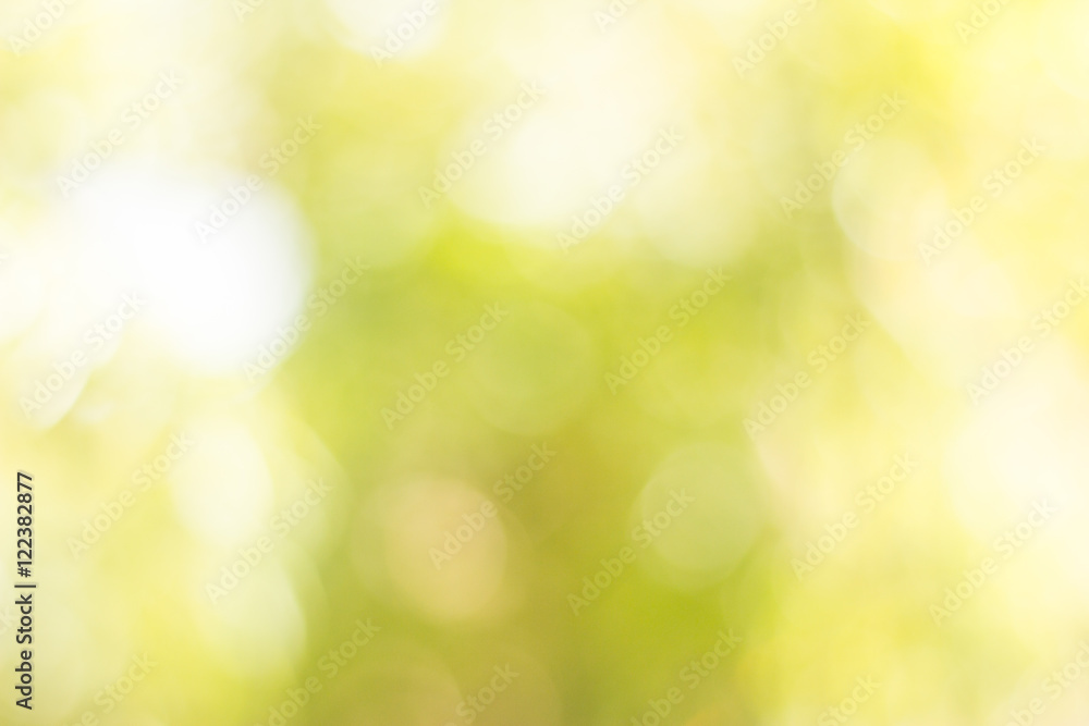 Obraz premium rozmycie bokeh