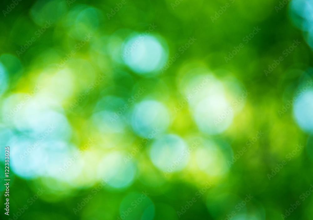 Fototapeta premium Natural blurred background.