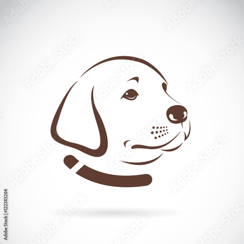 Vector image of an Labrador dog's head on white background