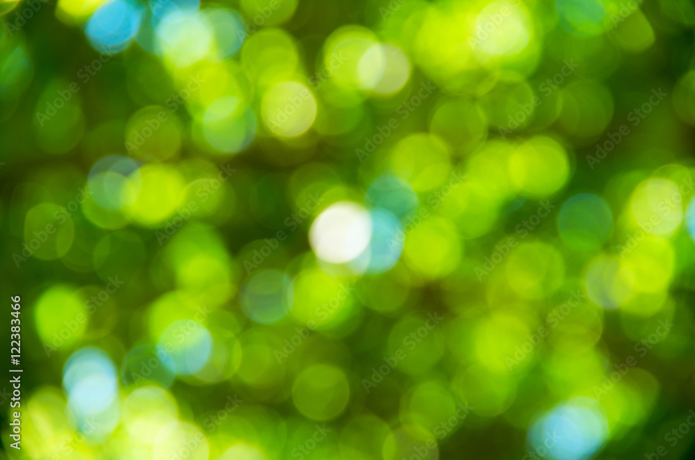 Natural blurred background. Natural blurred background.