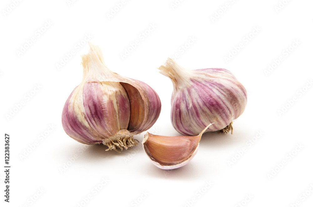 Obraz premium garlic isolated on white background