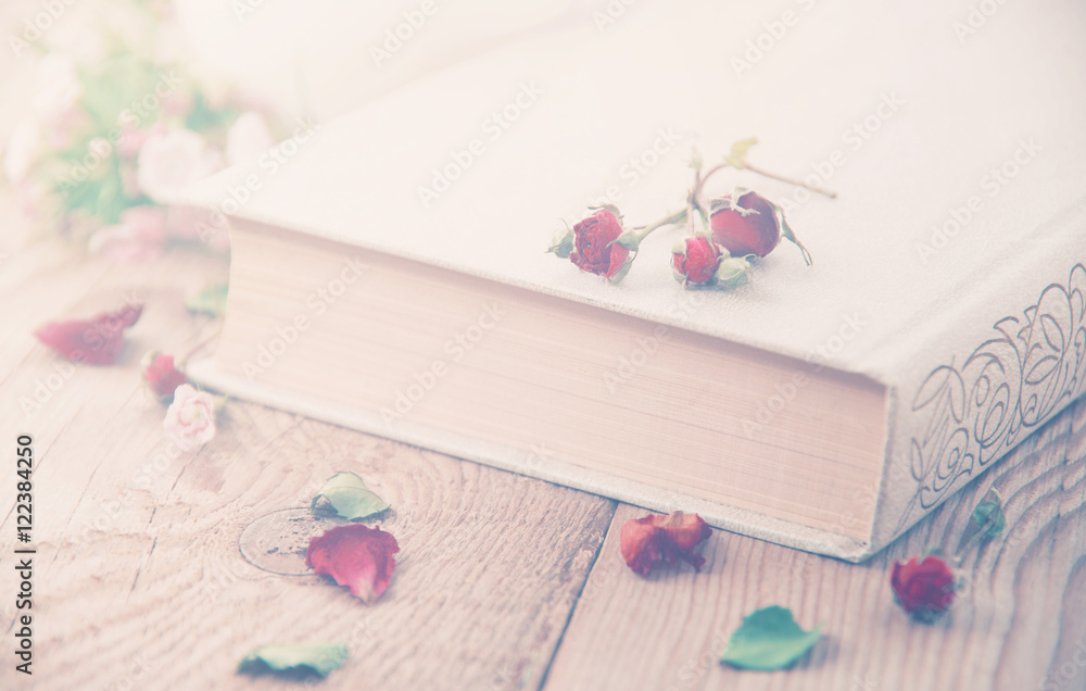 Dry roses and old book. Toned image Dry roses and old book. Toned image