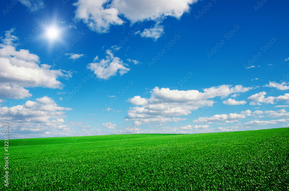Image of green grass field and bright blue sky Image of green grass field and bright blue sky