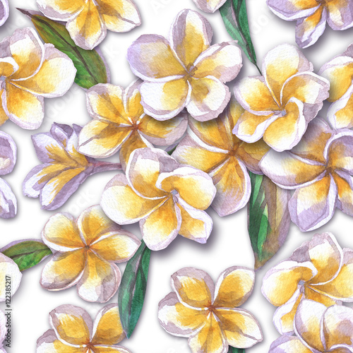Tropical floral pattern watercolor flowers plumeria. White flower frangipani repeating.