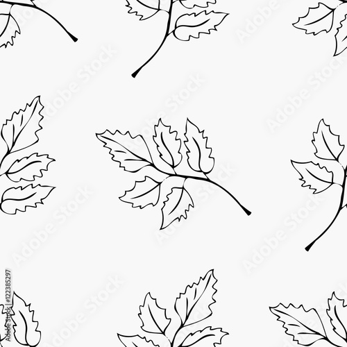 The pattern of contours of leaves.