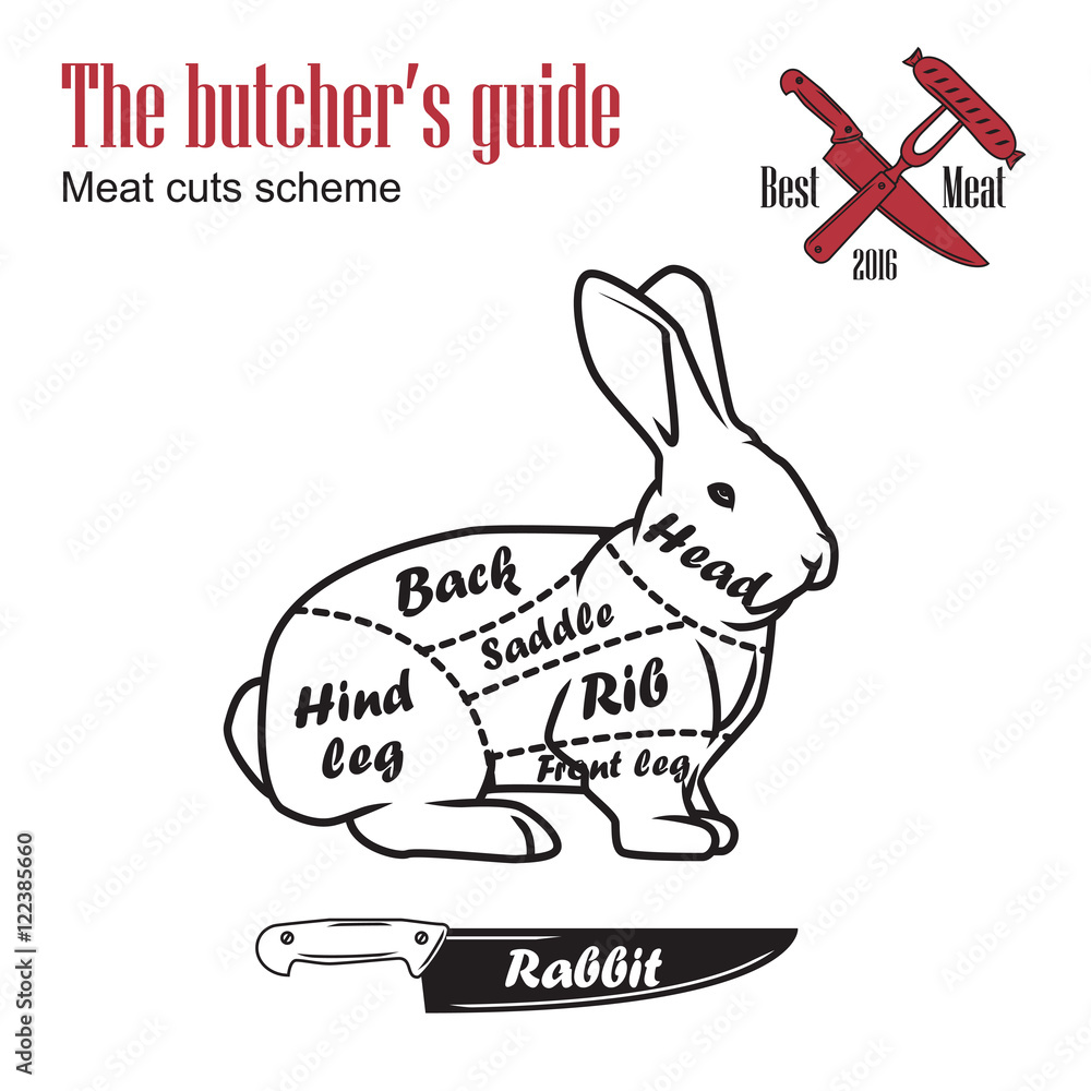Butcher guide vector illustration. Cut scheme rabbit meat. Vintage ...
