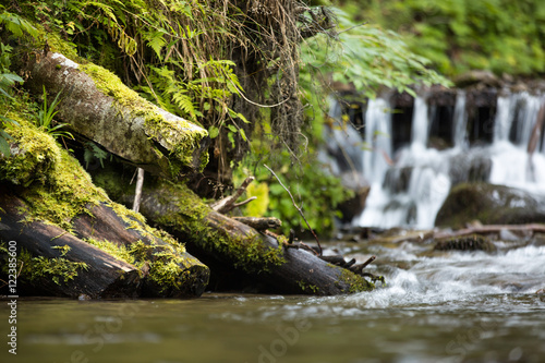 The logs with moss on background of a small waterfall