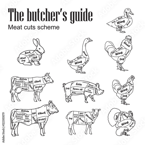 Meat symbols vector. Set of butcher cut schemes vintage. Illustration