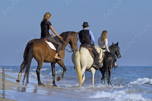 Fototapeta Naklejka Na Ścianę i Meble -  horse riders in the sea