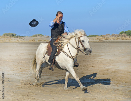 horse man on the beach © cynoclub
