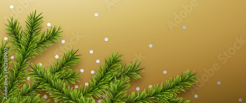 Branches de sapin vectorielles 3