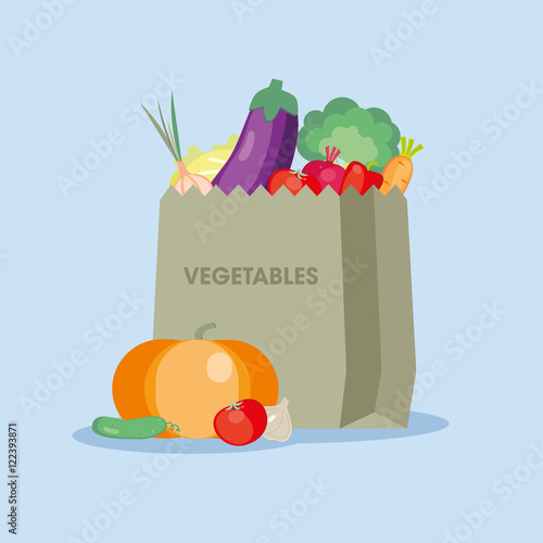 Fresh vegetables in the paper bag. Vector illustration