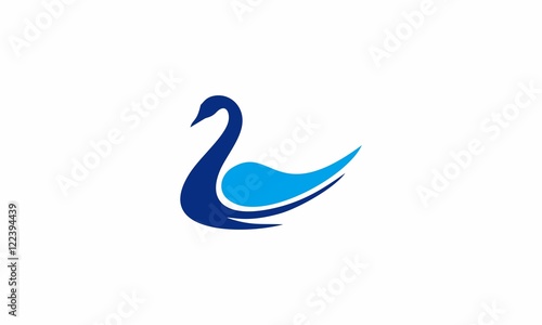 swan vector