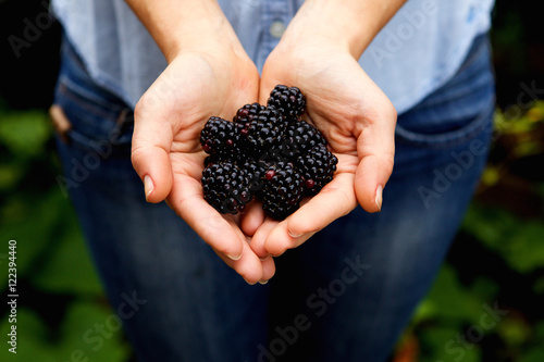 Woman holding bunch of delicious blackberries