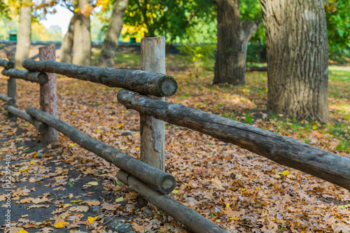 A fence of logs in the Park in autumn