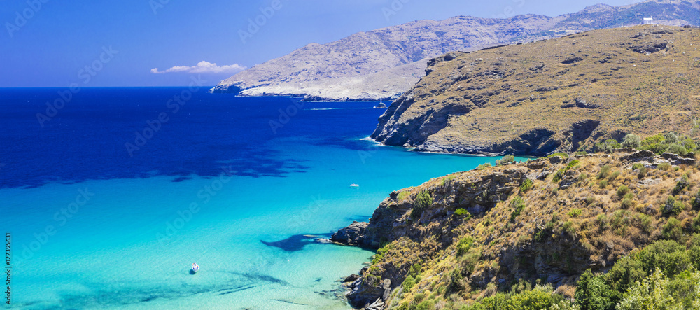 amazing Greece series - beaches of Andros island, Cyclades
