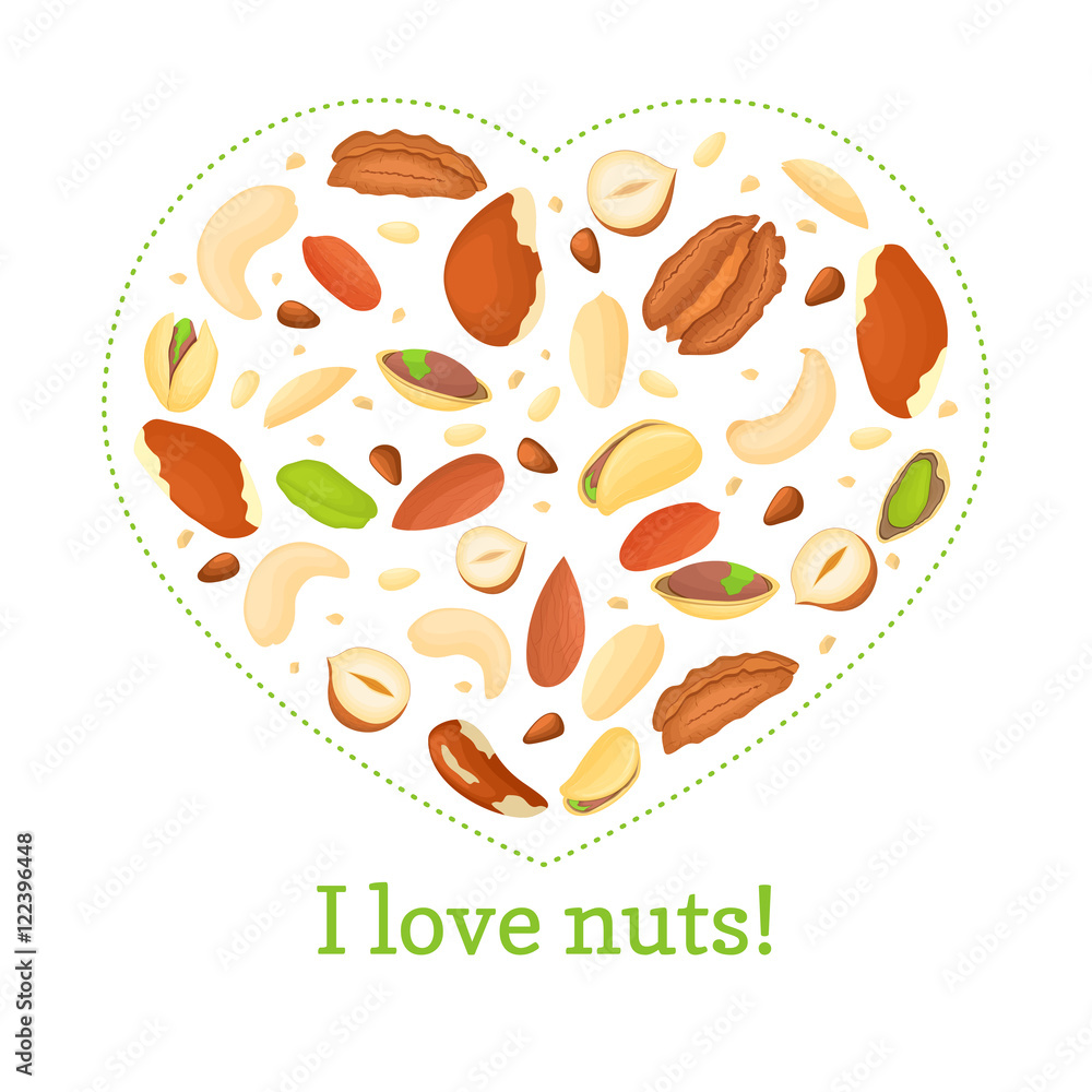 Heart colored frame composed of different nuts brazil, cashew, peanut, pecan, pine, pistachio. Vector card illustration. Heart with place for your text packaging design element
