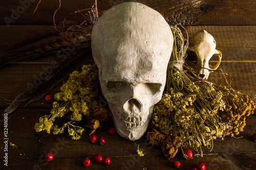 Witches nabor.Kompozitsiya skull, dried herbs, candles and berries on a wooden table. photo