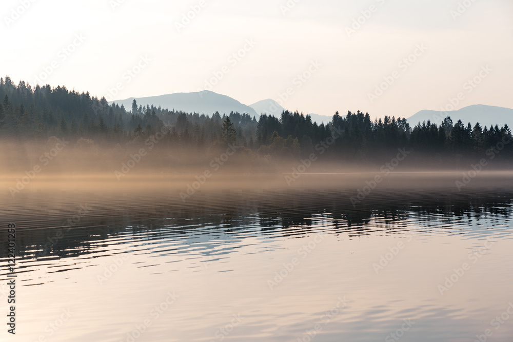 Forest, mountain and fog at sunset Forest, mountain and fog at sunset