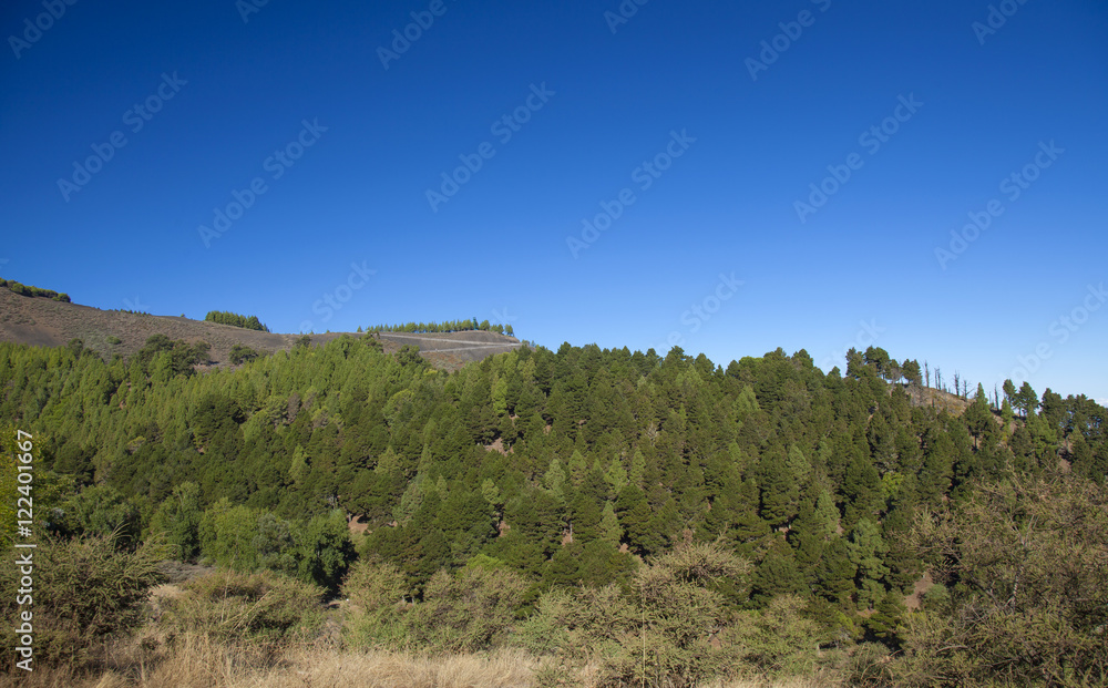 Central Gran Canaria Central Gran Canaria