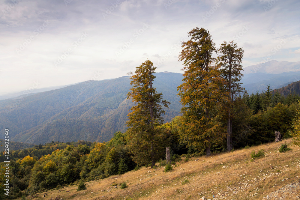Autumn landscape in the Carpathian Mountains