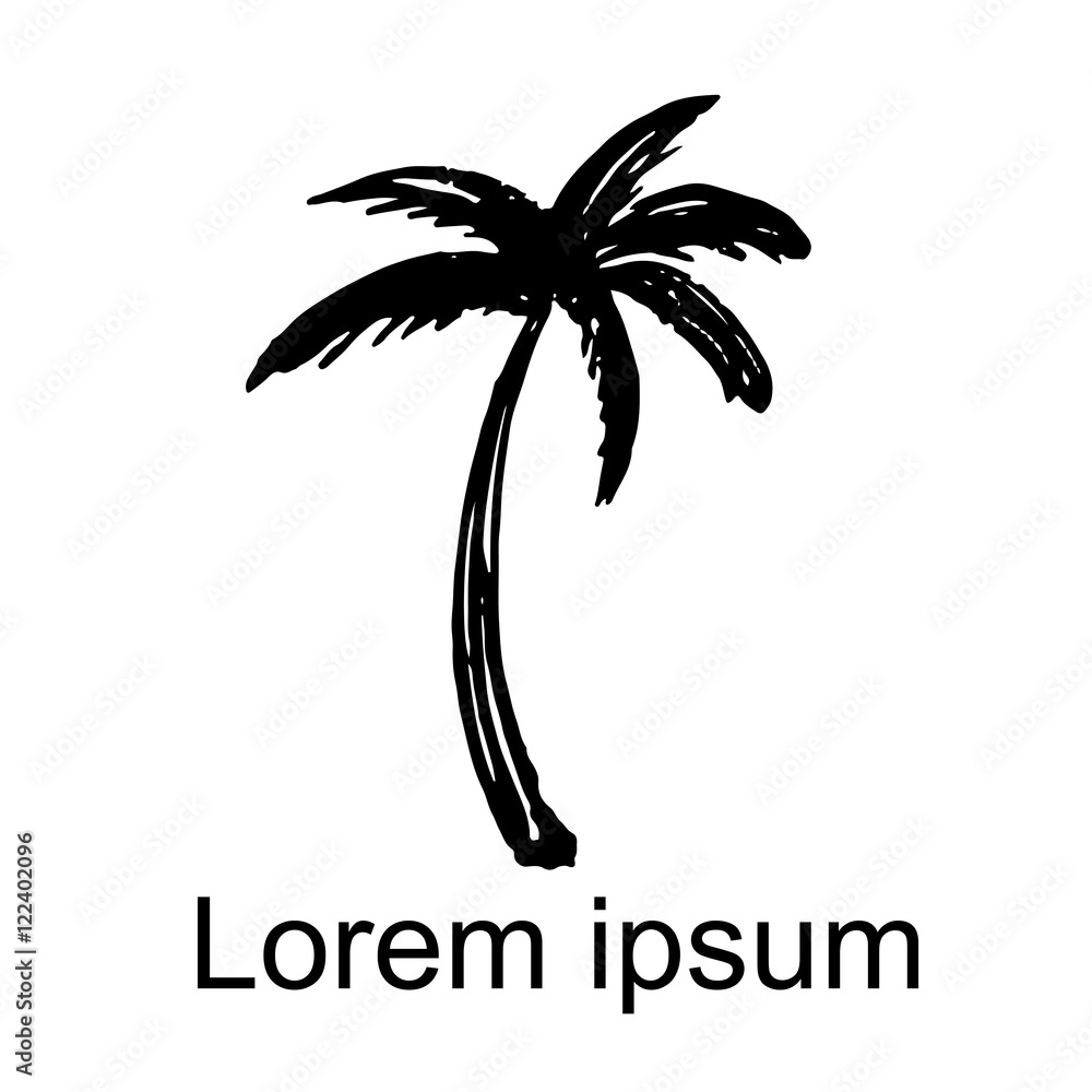 Fototapeta premium Coconut palm tree icon isolated, logo