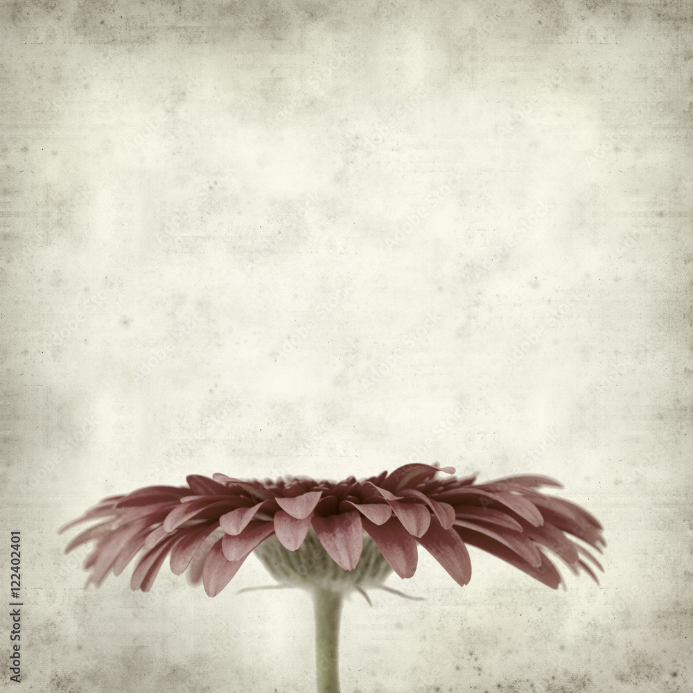 textured old paper background