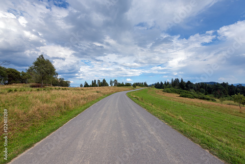 Asphalt road in the environment of trees  meadows  mountains and clouds on blue sky. Pieniny National Park. Poland