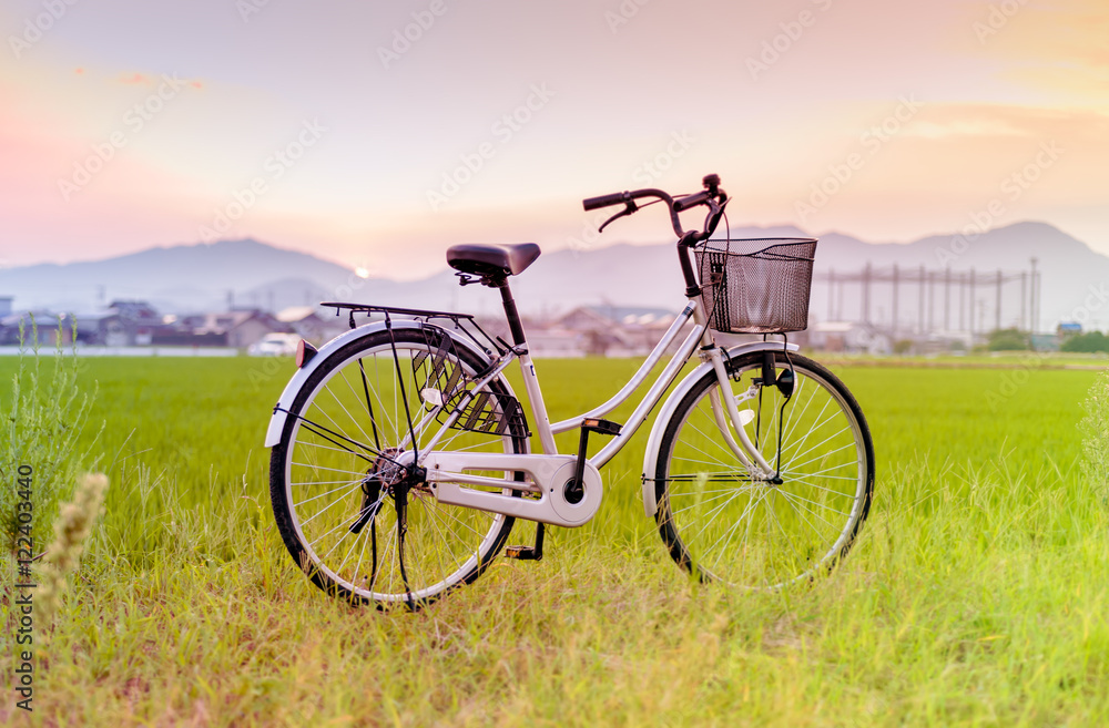 Bicycle park beside rice field against evening light ,gradient e