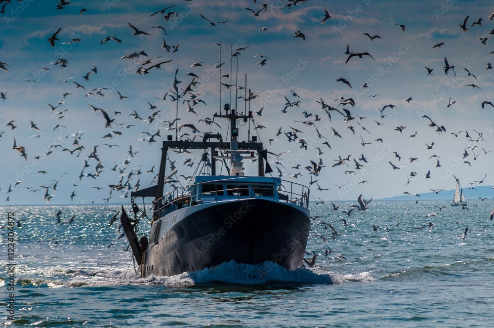 Obraz premium Retour de pêche d'un chalutier.