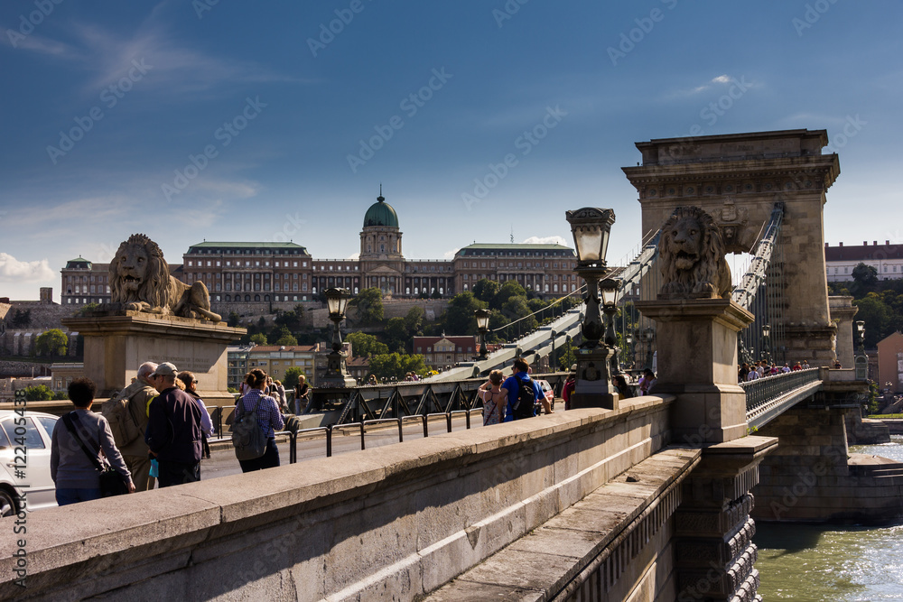 Fototapeta premium Budapest Chain bridge