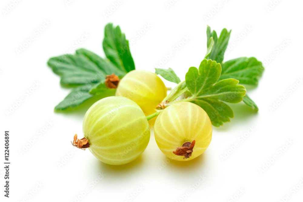 Fresh gooseberry with leaves