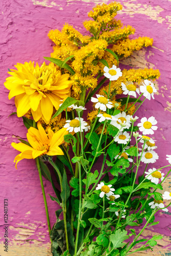 Garden flowers on colorful background