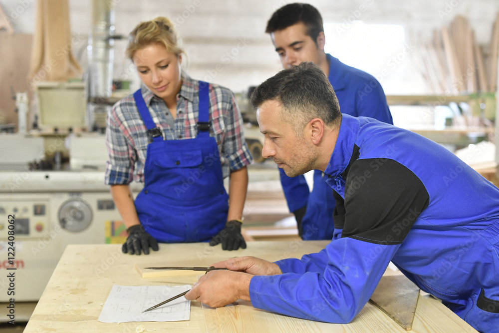 Students in woodwork training course with professional