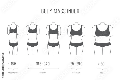 Body Mass Index vector illustration,female figure
