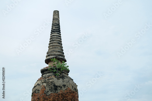 The top of pagoda.