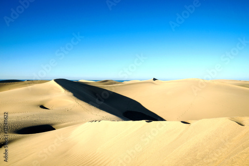 Maspalomas Dunes on Gran Canaria  Spain