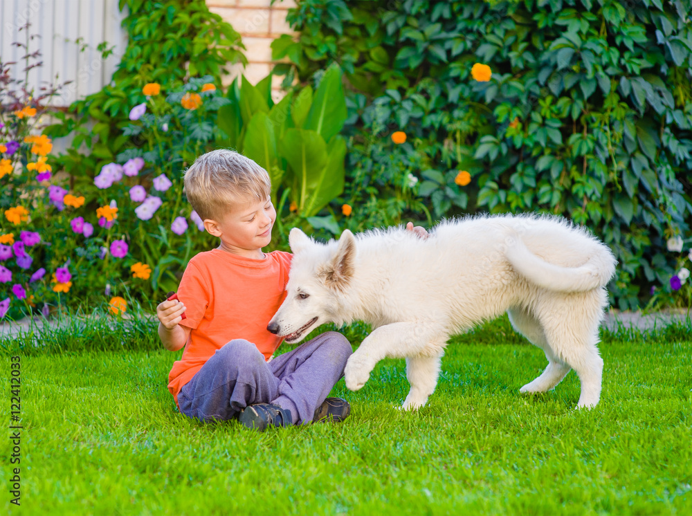 White Swiss Shepherd`s puppy and kid playing together on green grass. White Swiss Shepherd`s puppy and kid playing together on green grass.