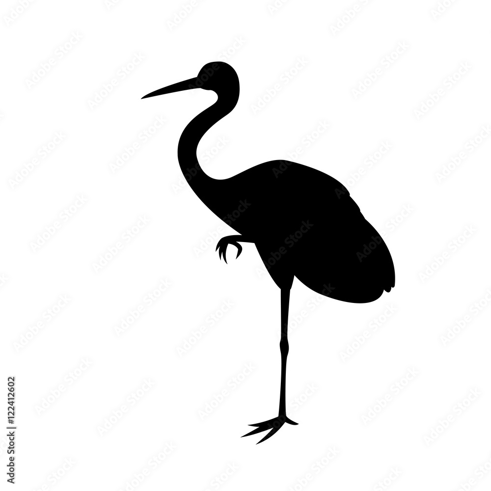 bird crane vector illustration  black silhouette